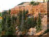 cascade7.jpg (203213 bytes)