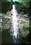 hanakapiaifalls2.jpg (180081 bytes)