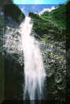 hanakapiaifalls4.jpg (137909 bytes)