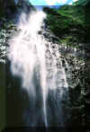 hanakapiaifalls6.jpg (112098 bytes)