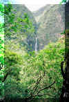 hanakapiaifalls.jpg (213139 bytes)