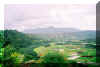 hanaleivalley.jpg (74970 bytes)