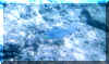 snorkel3.jpg (92839 bytes)