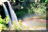 wailuafalls.jpg (212815 bytes)