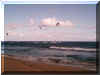 windsurfers.jpg (25900 bytes)