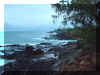 kauaishore.JPG (97641 bytes)