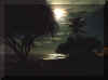 moonshine1.jpg (56611 bytes)
