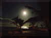 moonshine3.jpg (55803 bytes)