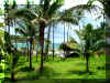 wailua.JPG (169074 bytes)