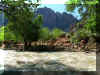 parusVriver.jpg (196626 bytes)