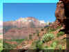watchman4.jpg (143993 bytes)