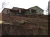 ontheedge.jpg (114942 bytes)
