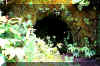 cave.jpg (64301 bytes)