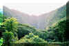 waipiovalley3.jpg (93744 bytes)