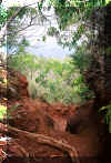 nualolotrail.jpg (270999 bytes)