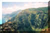 nualolovalley1.jpg (167720 bytes)