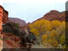 redcliffs4.JPG (111874 bytes)
