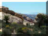 redrockcyn4.jpg (131501 bytes)