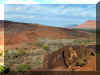 SCpetrog4.JPG (103925 bytes)