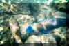 bigblue.jpg (75978 bytes)
