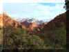 snowcanyon16.JPG (124591 bytes)