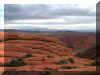 snowcanyon25.JPG (93766 bytes)