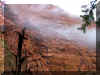 snowcanyon2.JPG (131304 bytes)