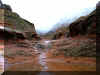 snowcanyon5.JPG (111436 bytes)