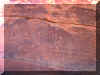 Slotpetrog1.JPG (120774 bytes)