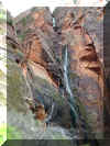 WRseasonfalls2.jpg (190500 bytes)