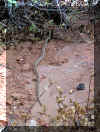angelscritter.jpg (168326 bytes)