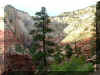 zion8.jpg (160649 bytes)