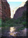 zioncanyon4.JPG (100621 bytes)
