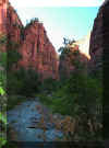 zioncanyon5.JPG (95518 bytes)